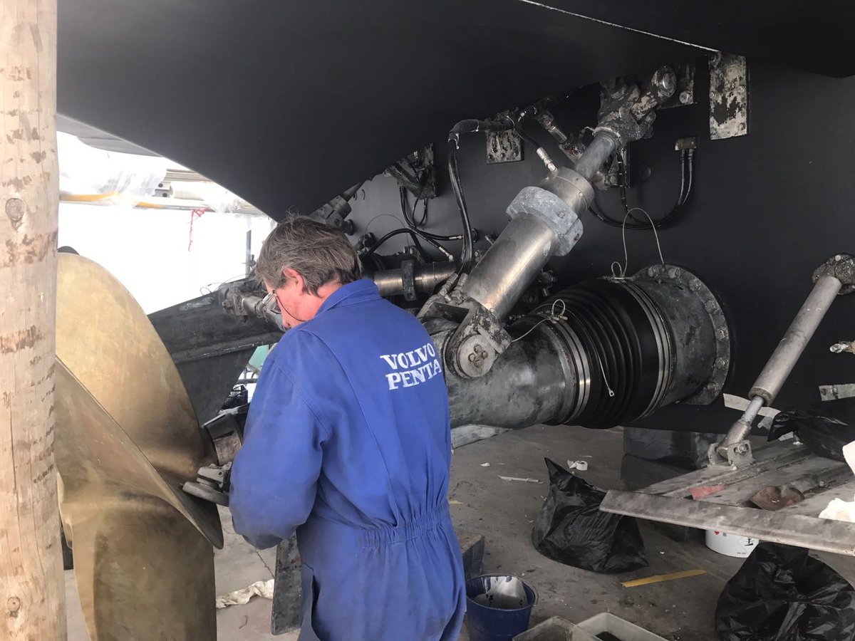 Imagen de Capitol 11 - 2017